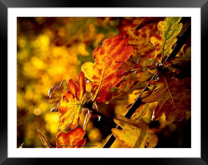 autumn leaves Framed Mounted Print by Jo Beerens