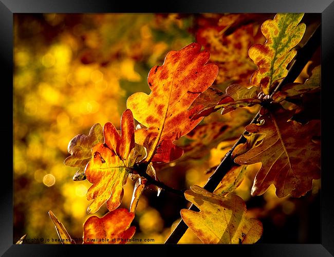 autumn leaves Framed Print by Jo Beerens