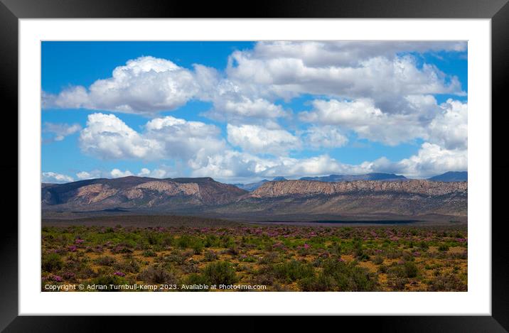 Spring flowers below the Swartberg Mountains Framed Mounted Print by Adrian Turnbull-Kemp