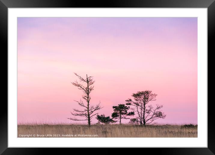 Pastel Euphoria Framed Mounted Print by Bruce Little