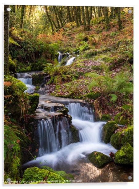 Enchanting Dartmoor Waterfall Acrylic by Bruce Little