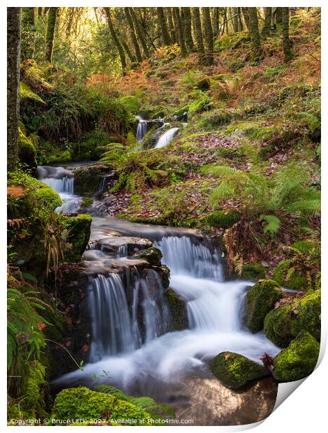 Enchanting Dartmoor Waterfall Print by Bruce Little