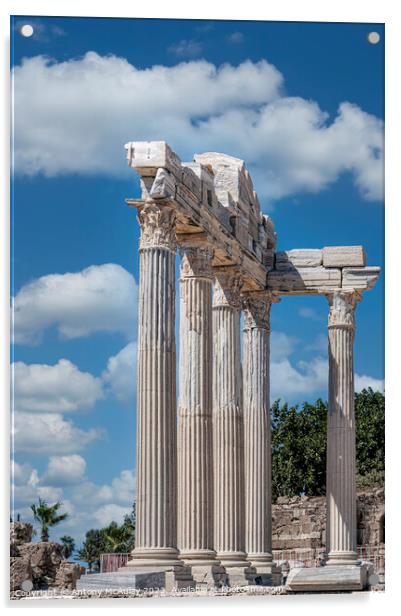 Side Temple of Apollo Acrylic by Antony McAulay