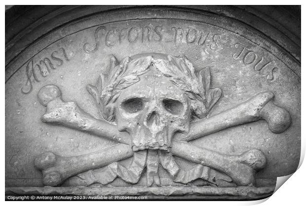 Stone Skull and Crossbones Print by Antony McAulay