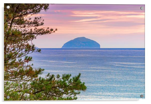 Pink Sky Around Ailsa Craig Acrylic by Valerie Paterson