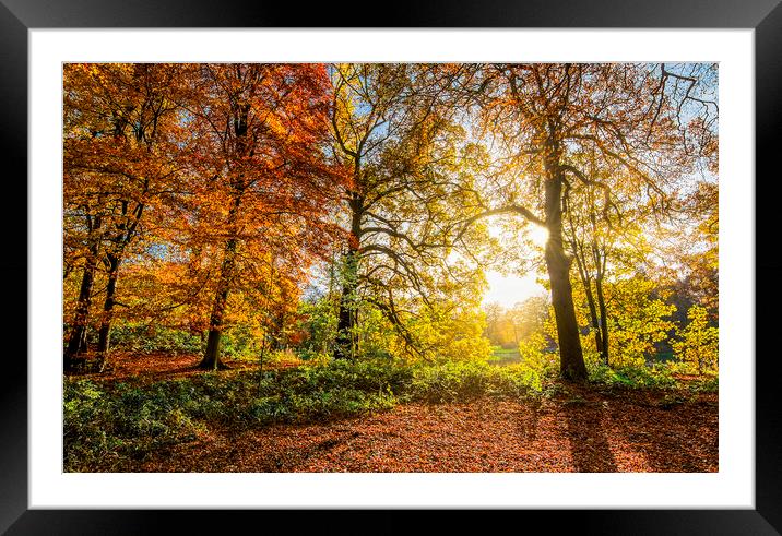 Autumn Sunrise Wakefield Framed Mounted Print by Tim Hill