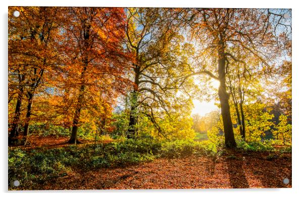 Autumn Sunrise Wakefield Acrylic by Tim Hill
