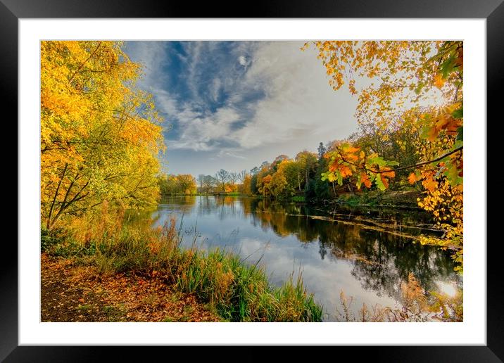 Golden Foliage Reflected on Wakefield Lake Framed Mounted Print by Tim Hill