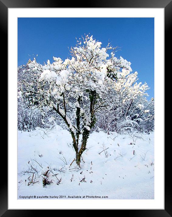 Simplicity Snow Tree. Framed Mounted Print by paulette hurley
