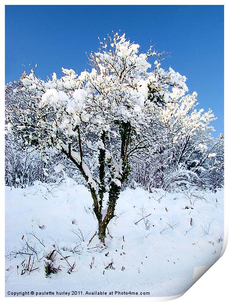 Simplicity Snow Tree. Print by paulette hurley