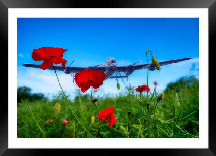 Lancaster Bomber Forced Landing Framed Mounted Print by Tim Hill