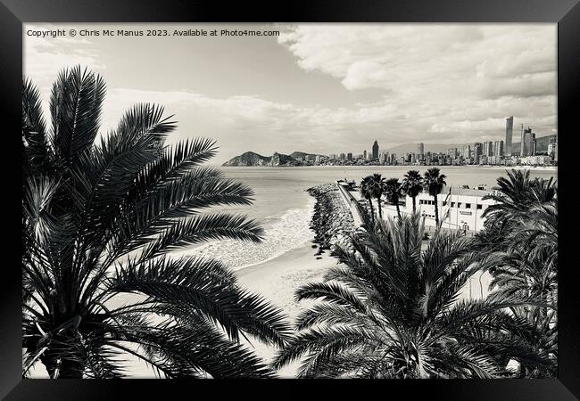 Through The Palm Trees Framed Print by Chris Mc Manus