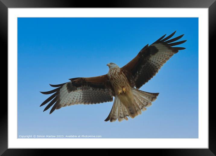 Red Kite  Framed Mounted Print by Simon Marlow