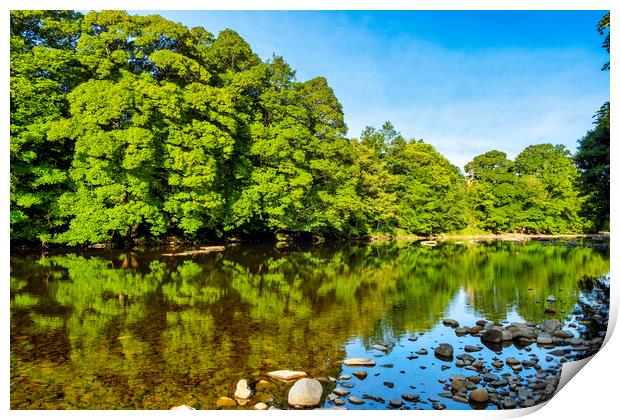 The River Swale Print by Steve Smith