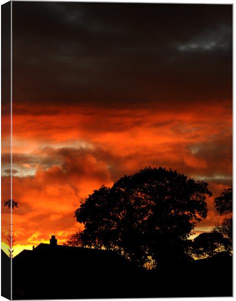 Pembrokeshire Sunset Canvas Print by Steve Purnell