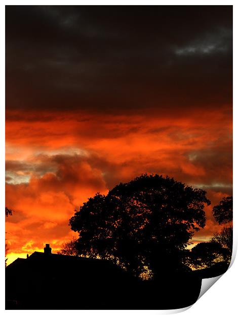 Pembrokeshire Sunset Print by Steve Purnell