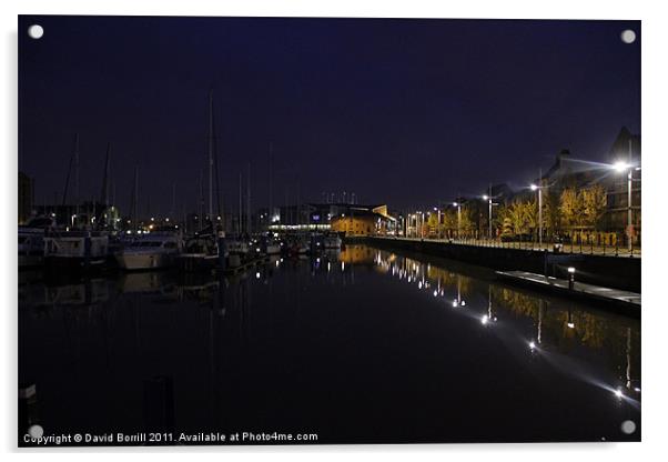 Hull Marina (old Humber Dock) Acrylic by David Borrill