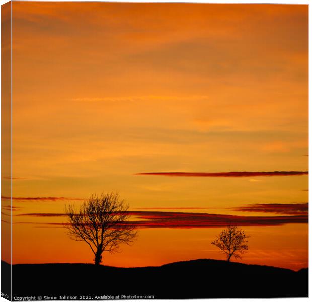 Tree silhouettes at sunset Canvas Print by Simon Johnson