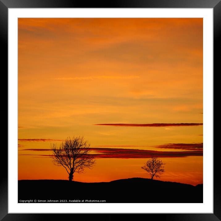 Tree silhouettes at sunset Framed Mounted Print by Simon Johnson
