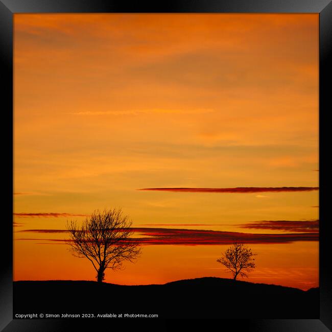 Tree silhouettes at sunset Framed Print by Simon Johnson