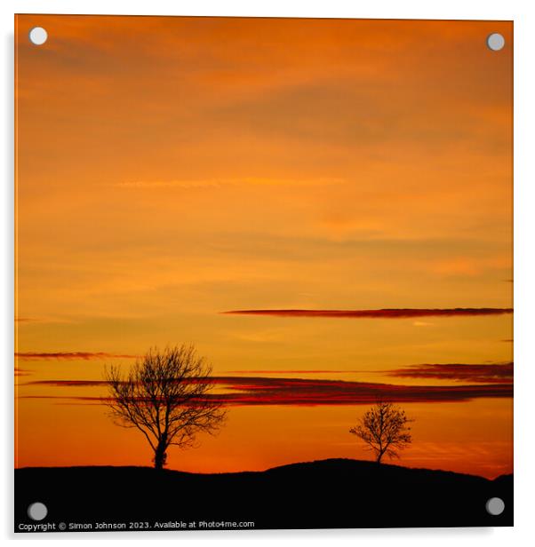 Tree silhouettes at sunset Acrylic by Simon Johnson