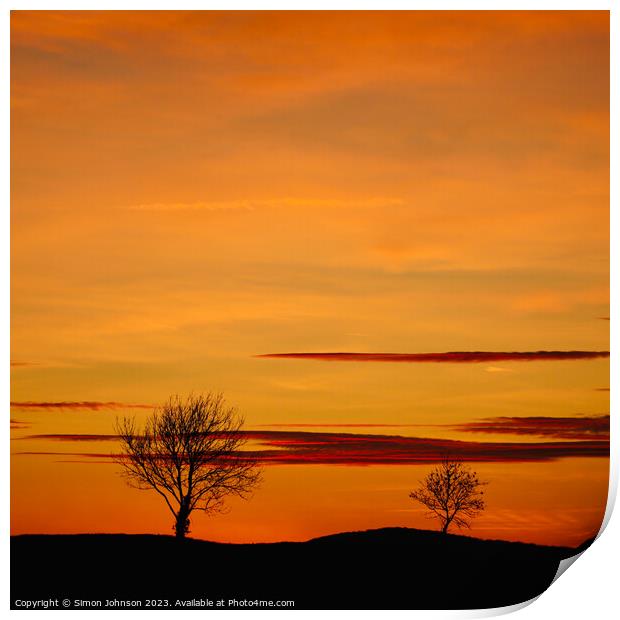 Tree silhouettes at sunset Print by Simon Johnson