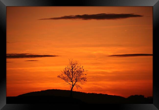 Tree silhouette sunset Framed Print by Simon Johnson