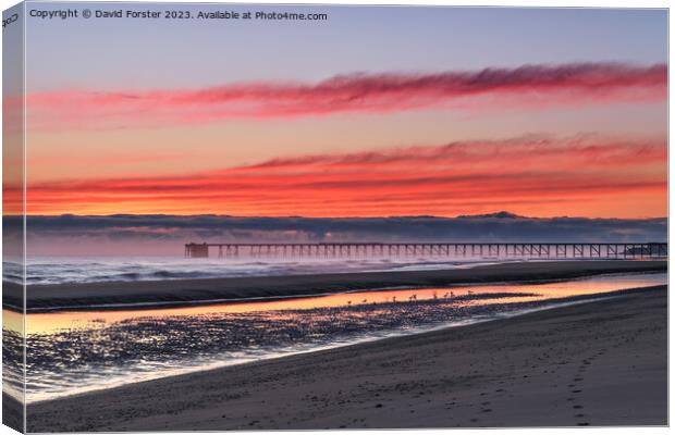 Steetley Pier at Dawn, Hartlepool, County Durham, UK Canvas Print by David Forster