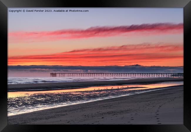 Steetley Pier at Dawn, Hartlepool, County Durham, UK Framed Print by David Forster