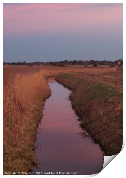 Serene Pink Sunset at Norfolk Stream Print by Sally Lloyd