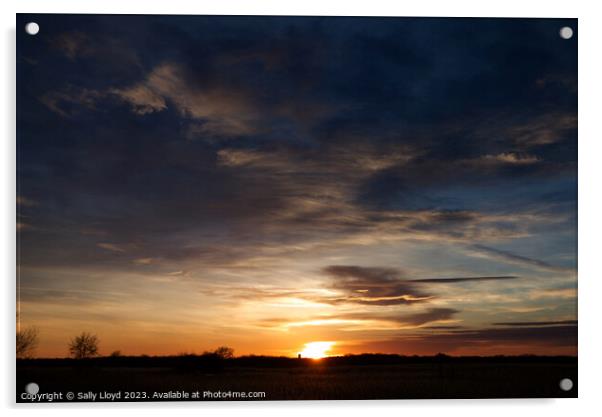 Radiant Beauty of the Norfolk Sunset Acrylic by Sally Lloyd