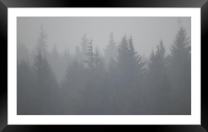 Beauty in the fog Framed Mounted Print by Dorringtons Adventures