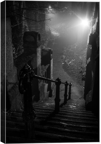 Spooky stairs  Canvas Print by Dorringtons Adventures