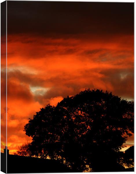Pembrokeshire Sunset Canvas Print by Steve Purnell