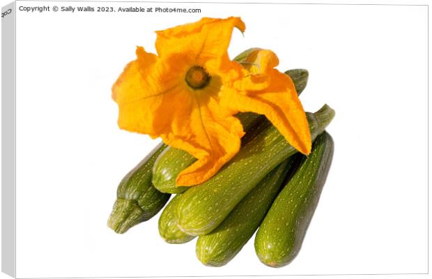 Zucchini and flower Canvas Print by Sally Wallis