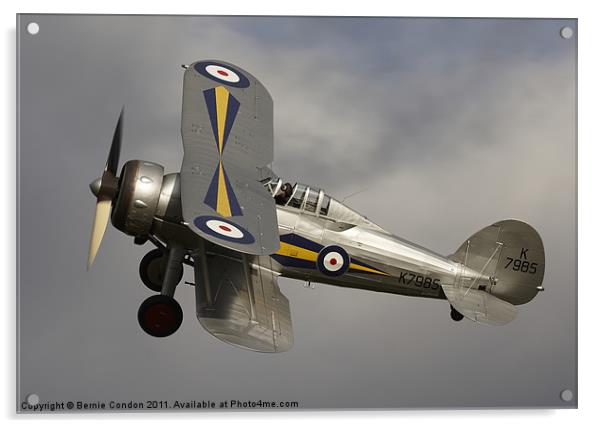 Gloster Gladiator Acrylic by Bernie Condon