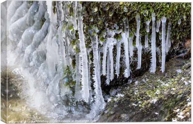 Frost and small icicles on a stone in the river. Spring thaw. Canvas Print by Lubos Chlubny