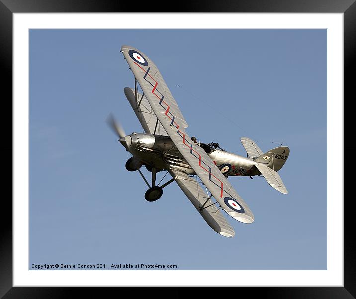 Hawker Hind Framed Mounted Print by Bernie Condon