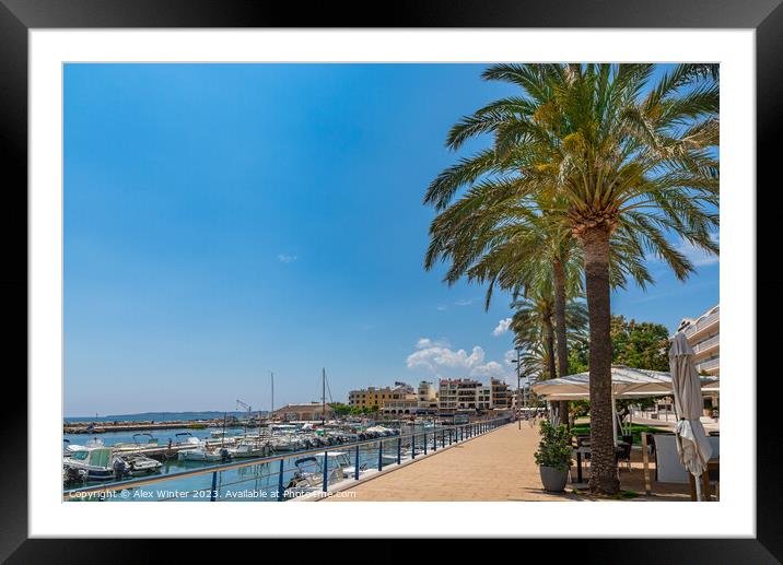 Port in Cala Bona on Mallorca island Spain Framed Mounted Print by Alex Winter