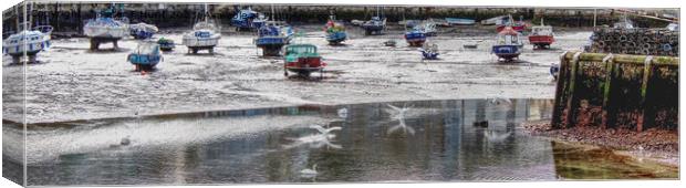 Swans Flying Into The Harbour Canvas Print by Peter F Hunt
