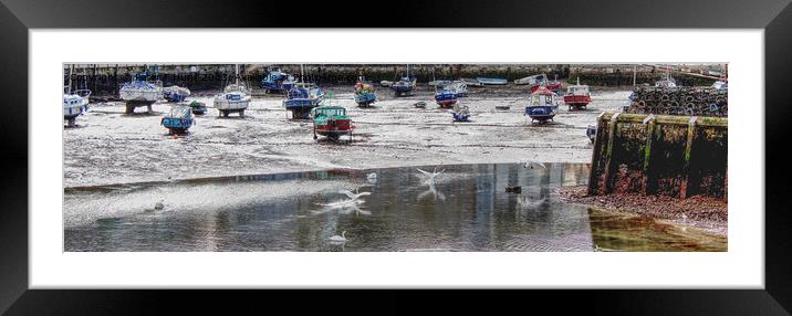 Swans Flying Into The Harbour Framed Mounted Print by Peter F Hunt