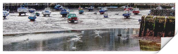 Swans Flying Into The Harbour Print by Peter F Hunt