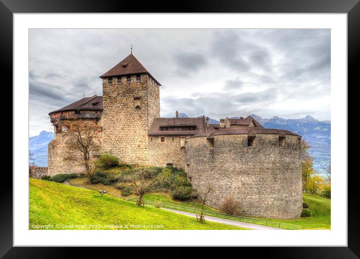 Medieval castle Liechtenstein  Framed Mounted Print by David Pyatt