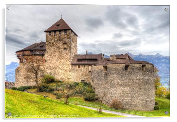 Medieval castle Liechtenstein  Acrylic by David Pyatt
