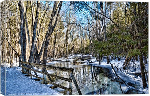 Serene Winter Reflections Canvas Print by Ken Oliver