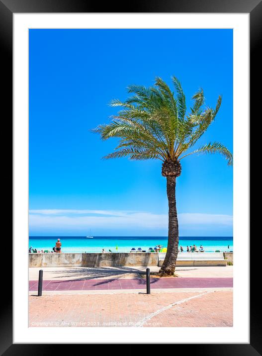 Cala Millor Outdoor oceanbeach Framed Mounted Print by Alex Winter