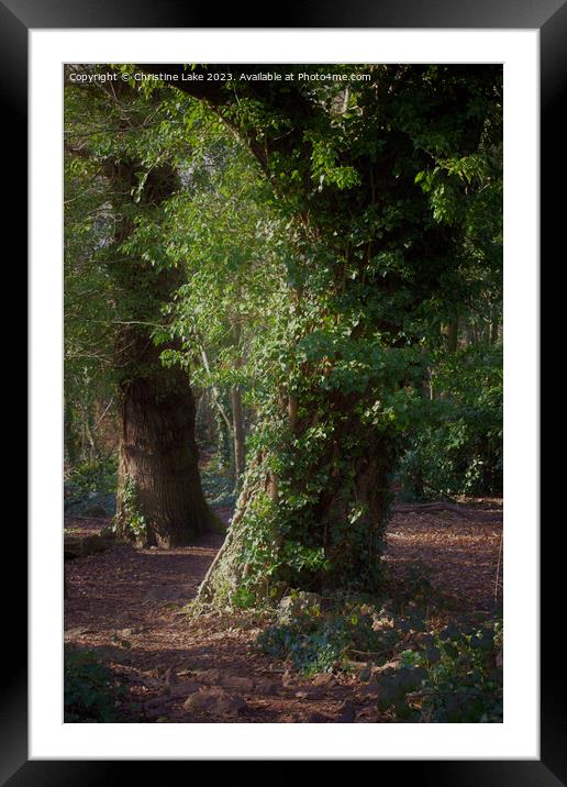 Tranquility In Nature Framed Mounted Print by Christine Lake