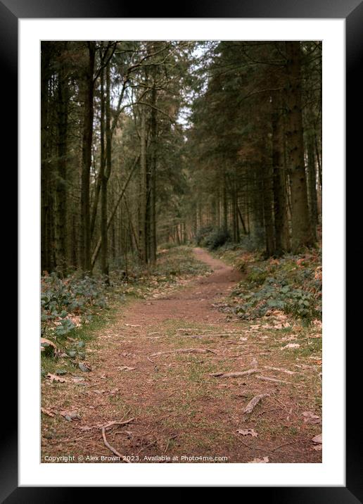 Path through the woods Framed Mounted Print by Alex Brown