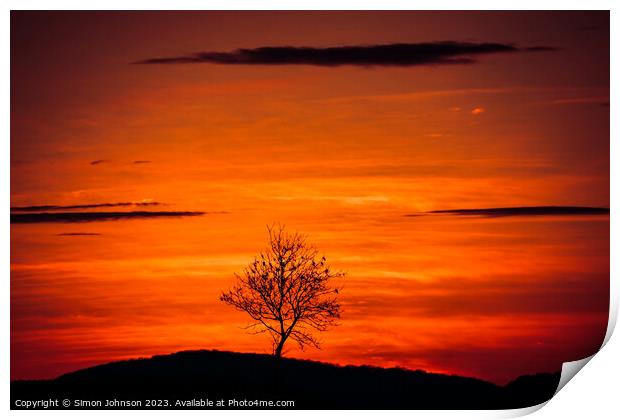 Tree silhouette  Print by Simon Johnson