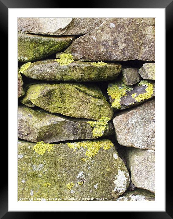 Dry stone wall, Cumbria, with lichen Framed Mounted Print by DEE- Diana Cosford